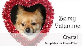  Presentation with valentine - Theme enhanced with red valentines day heart with a small brown dog isolated on white text reads be my valentine text and photo are easily replaced background and a white colored foreground