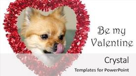  Presentation with valentine - Colorful slide deck enhanced with red valentines day heart with a small brown dog isolated on white text reads be my valentine text and photo are easily replaced backdrop and a white colored foreground