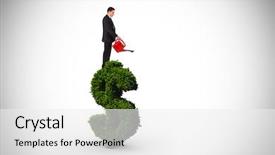  Presentation with red and gold leaves - PPT layouts enhanced with red watering can against dollar background and a white colored foreground