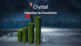  Presentation with red wedding carnations - Slide deck consisting of red watering can against road background and a navy blue colored foreground