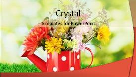  Presentation with white flowers - Audience pleasing PPT theme consisting of red-watering-can-with-white backdrop and a blonde colored foreground