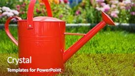  Presentation with red hibiscus rosa sinensis flower - Presentation theme having red watering can background and a crimson colored foreground