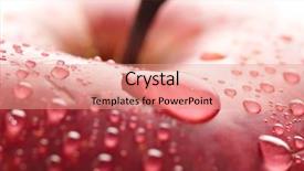  Presentation with droplet - Slides consisting of red wet apple with big background and a coral colored foreground