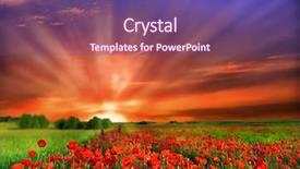  Presentation with red white blue - PPT layouts consisting of red white blue plant - flowers background and a violet colored foreground