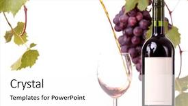  Presentation with grape vine wine grapes - Beautiful theme featuring red wine pouring down grapes backdrop and a white colored foreground