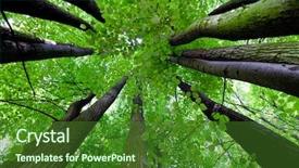  Presentation with tree templaze - Cool new theme with red wood - tree canopy backdrop and a forest green colored foreground