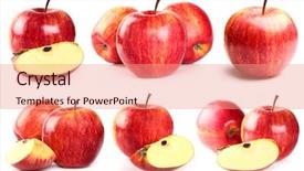  Presentation with collage - PPT theme consisting of red yellow - collage from apples background and a coral colored foreground