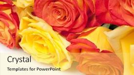  Presentation with roses - Beautiful PPT layouts featuring red yellow - roses backdrop and a yellow colored foreground