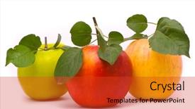  Presentation with red yellow green blue jigsaw - PPT layouts enhanced with red yellow and green fresh background and a red colored foreground