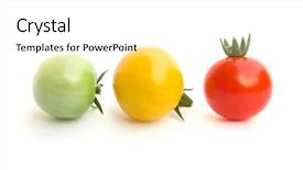  Presentation with red yellow green blue jigsaw - Cool new presentation with red yellow and green tomatoes backdrop and a white colored foreground