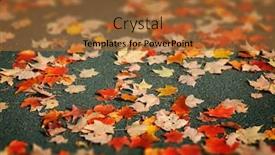  Presentation with fall leaves - Cool new theme with red-yellow-and-orange-autumn backdrop and a red colored foreground