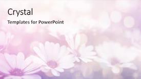  Presentation with yellow color - Slide deck with red yellow floral - beautiful flowers made with color background and a pink colored foreground