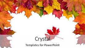  Presentation with color border bottom - Audience pleasing theme consisting of red yellow green - autumn border card of colored backdrop and a white colored foreground