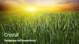  Presentation with bright yellow - Colorful slides enhanced with flora macdonald statue with a seagull on her head in the city of inverness scotland backdrop and a ocean colored foreground