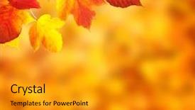  Presentation with fall leaves - Slide deck featuring red yellow green - fall autumn leaves background background and a gold colored foreground