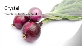  Presentation with red onion - Theme consisting of red young onions background and a white colored foreground