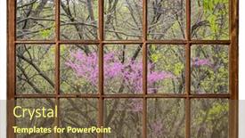  Presentation with tree river - PPT theme with redbud-tree-blooming background and a  colored foreground