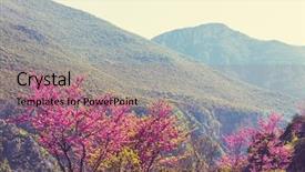  Presentation with spring tree - Presentation featuring redbud-tree-pink-flowers-spring background and a coral colored foreground