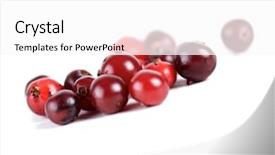  Presentation with studio - Amazing PPT layouts having reddish - cranberries on white background backdrop and a white colored foreground