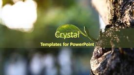  Presentation with rebirth - Slide set having reddish-bud-born background and a tawny brown colored foreground