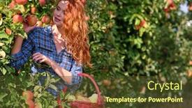  Presentation with orchard - Presentation theme featuring redhead-woman-with-a-basket background and a tawny brown colored foreground