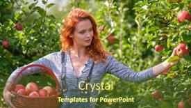  Presentation with orchard - Beautiful theme featuring redhead-woman-with-a-basket backdrop and a tawny brown colored foreground
