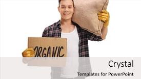  Presentation with agricultural - Amazing PPT theme having redneck - male agricultural worker holding backdrop and a  colored foreground