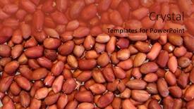  Presentation with groundnut roasted peanuts peanut - Colorful PPT layouts enhanced with redskin peanuts backdrop and a red colored foreground