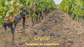  Presentation with france - Theme consisting of reduction-of-ripening-grapes background and a coral colored foreground