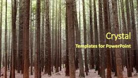  Presentation with redwood forest - Presentation with redwood tree forest background and a tawny brown colored foreground