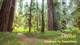  Presentation with redwood forest - Beautiful PPT theme featuring redwood-trees-in-northern-california backdrop and a tawny brown colored foreground