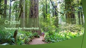  Presentation with redwood forest - Slide deck with redwood-trees-in-northern-california background and a tawny brown colored foreground