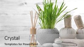  Presentation with spa - Slides with reeds - spa composition on wooden background background and a light gray colored foreground