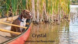  Presentation with fall lake - Presentation theme featuring reed grass - red canoe and pit bull background and a coral colored foreground