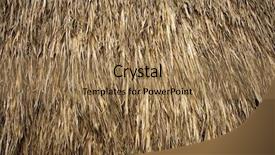  Presentation with background - Slides enhanced with reed grass - thatch background background and a coral colored foreground