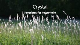  Presentation with fall abstract - Theme enhanced with reed-grass-in-the-fall background and a black colored foreground