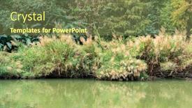  Presentation with swamp - PPT layouts consisting of reed-stalks-in-the-swamp background and a tawny brown colored foreground