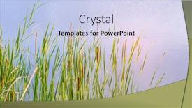  Presentation with swamp - Amazing slide deck having reed-stalks-in-the-swamp backdrop and a sky blue colored foreground
