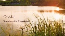  Presentation with swamp - Slide deck with reed-stalks-in-the-swamp background and a lemonade colored foreground