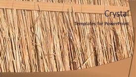  Presentation with weave - Audience pleasing PPT layouts consisting of texture of the dry reeds backdrop and a coral colored foreground
