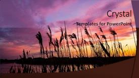  Presentation with river irrigation - Presentation theme consisting of reeds on river under nice background and a coral colored foreground