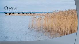  Presentation with nature - PPT theme featuring reeds-on-the-shore and a light blue colored foreground