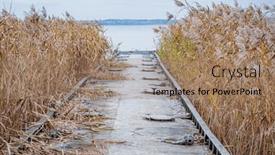  Presentation with autumn - Presentation theme enhanced with reeds-on-the-shore and a coral colored foreground