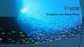  Presentation with fish ocean - Slide deck with reef and fish in ocean background and a  colored foreground