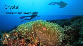  Presentation with divers - PPT layouts enhanced with reef fish - coral anemone clownfish and scuba background and a light gray colored foreground