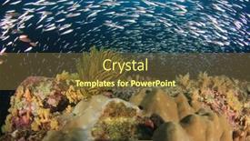  Presentation with fish ocean - Theme enhanced with reef-fish-and-coral-underwater background and a tawny brown colored foreground