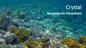  Presentation with reef tank marine aquarium blue - Slide set consisting of reef in the red sea background and a ocean colored foreground