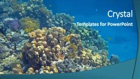  Presentation with lost at sea - PPT theme with reef in the red sea background and a  colored foreground