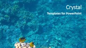  Presentation with plastic in the sea - Slide deck having reef in the red sea background and a  colored foreground