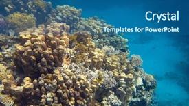  Presentation with sea coral - Slides with reef in the red sea background and a ocean colored foreground